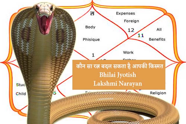 क्या आप भी कालसर्प दोष से परेशान हैं? जानिए दुर्ग-भिलाई के ज्योतिषी लक्ष्मी नारायण से कारण और निवारण