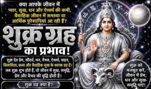सभी 12 भावों में नीच के शुक्र के शुभ-अशुभ प्रभाव — जानें दुर्ग भिलाई ज्योतिष लक्ष्मी नारायण से